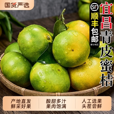 顺丰宜昌三峡蜜桔礼盒无籽当季孕妇时令水果蜜橘彩箱5斤包邮9大果