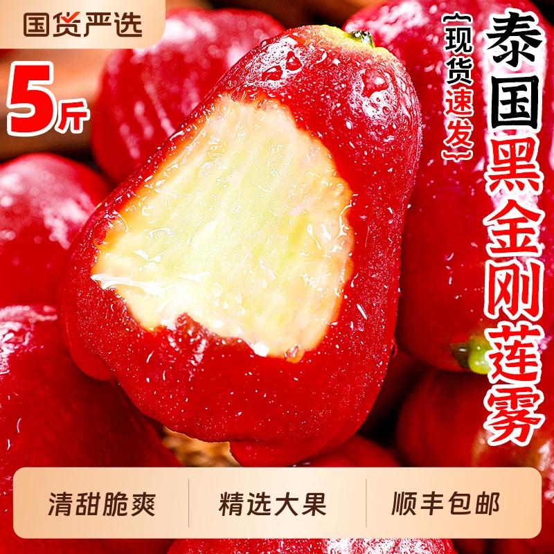 黑金刚莲雾！营养丰富~唇齿留香