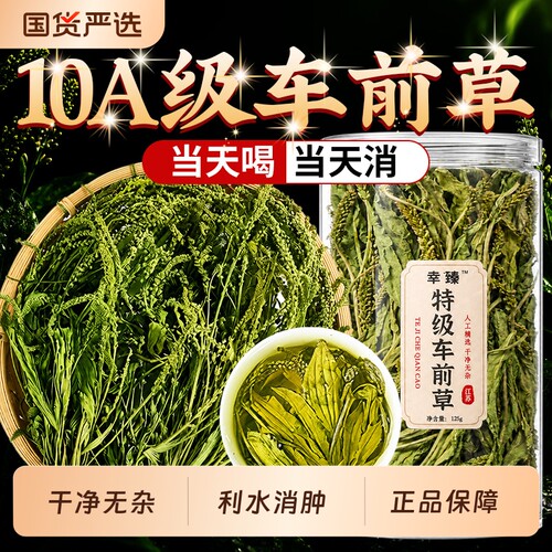 特级车前草野生整株干货泡水喝新鲜无硫中药材正品官方旗舰店
