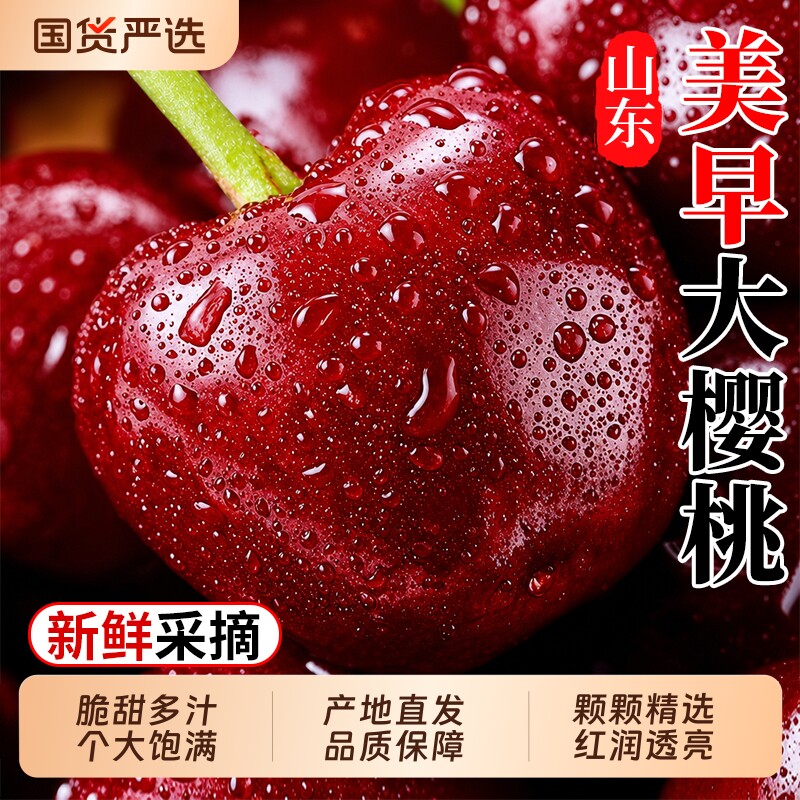 烟台大樱桃 新鲜国产大樱桃新鲜车厘子新鲜水果包邮2斤樱桃冷链