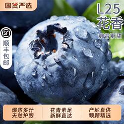 丹东蓝莓新鲜水果高山L25花香当季现摘大果鲜果旗舰店顺丰次日
