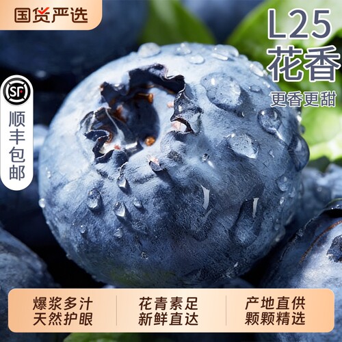丹东蓝莓新鲜水果高山L25花香当季现摘大果鲜果旗舰店顺丰次日