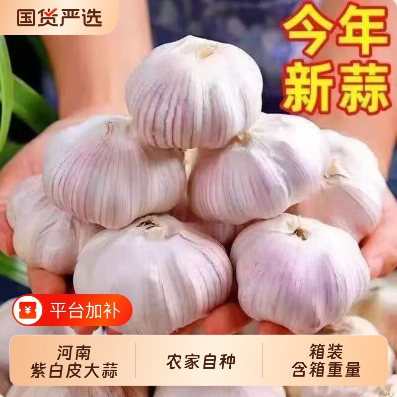 新干蒜3斤紫白皮大蒜大蒜头河南杞县农家自种当季新大蒜家用批发