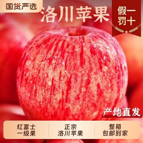 林依轮正宗洛川红富士苹果当季新鲜水果整箱陕西脆甜一级果现摘