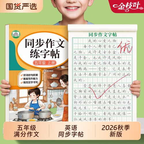 五年级上册满分作文练字帖小学生