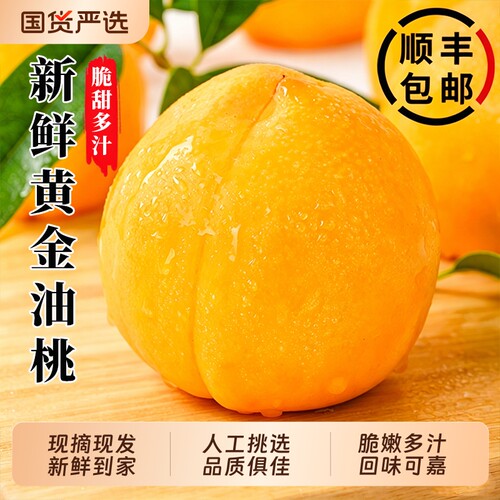 黄金油桃5斤水果当季现摘顺丰
