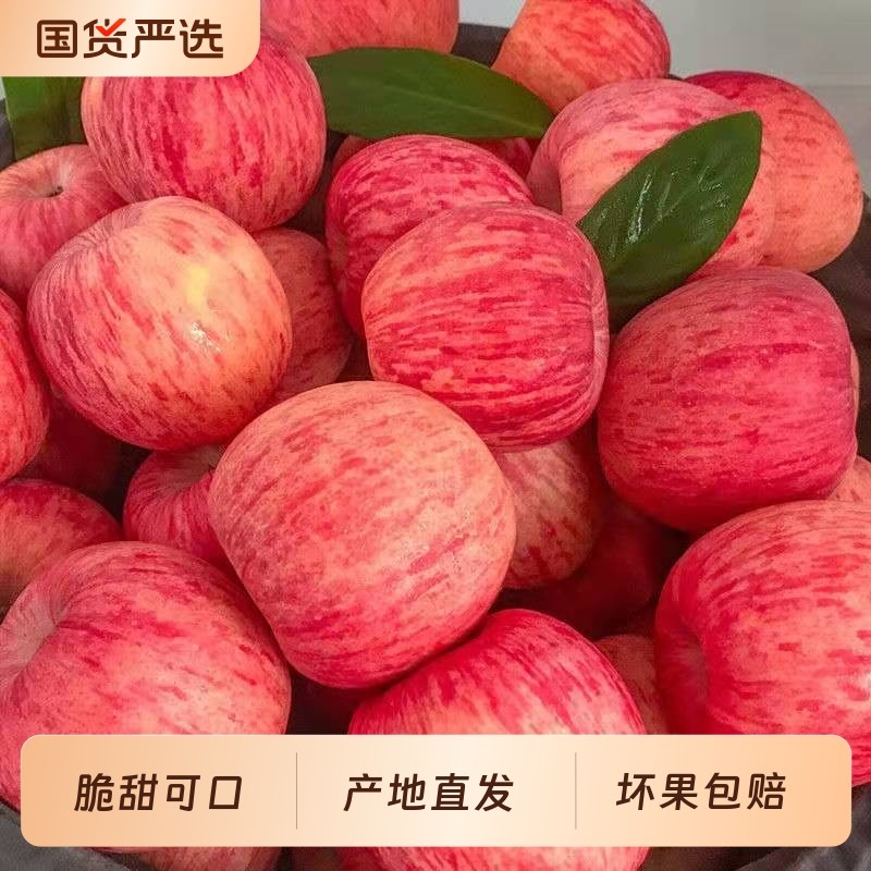 冰糖心红富士苹果新鲜水果平果丑苹果脆甜大苹果整箱批发年货节