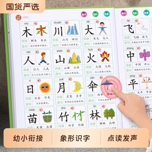 认字点读机幼儿园识字大王3000字有声书儿童卡片早教发声神器拼音