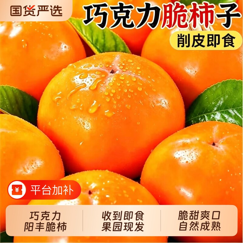 阳丰巧克力脆柿冰糖心脆甜不涩口现摘即食硬柿子当季新鲜水果整箱