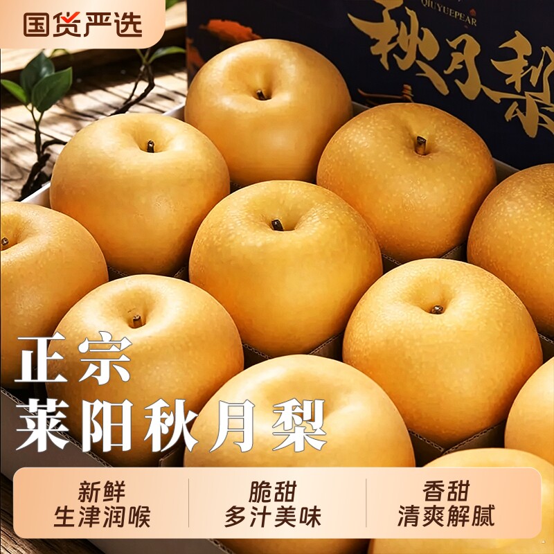 秋月梨正宗山东新鲜梨子水果中秋礼盒顺丰包邮莱阳蜜梨冰糖雪梨子