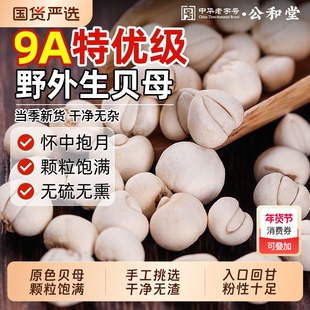 公和堂贝母中草药怀中抱月贝母无硫无熏搭配枇杷膏炖梨煮水喝止咳