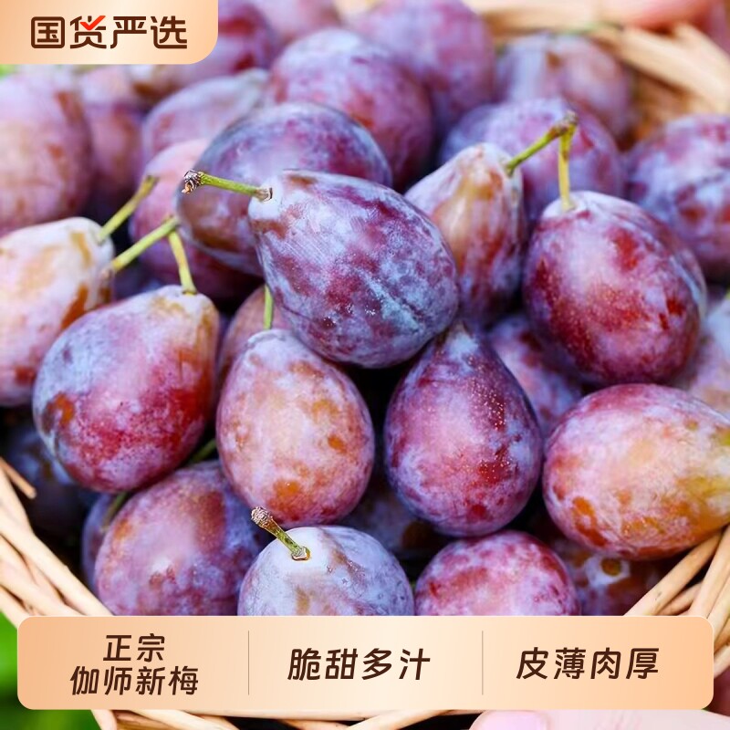 新疆法兰西西梅喀什西梅孕妇水果新鲜中秋水果礼盒李子分仓发货