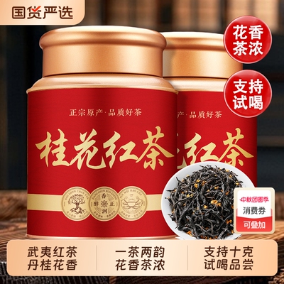 武夷山正山小种红茶罐装500g