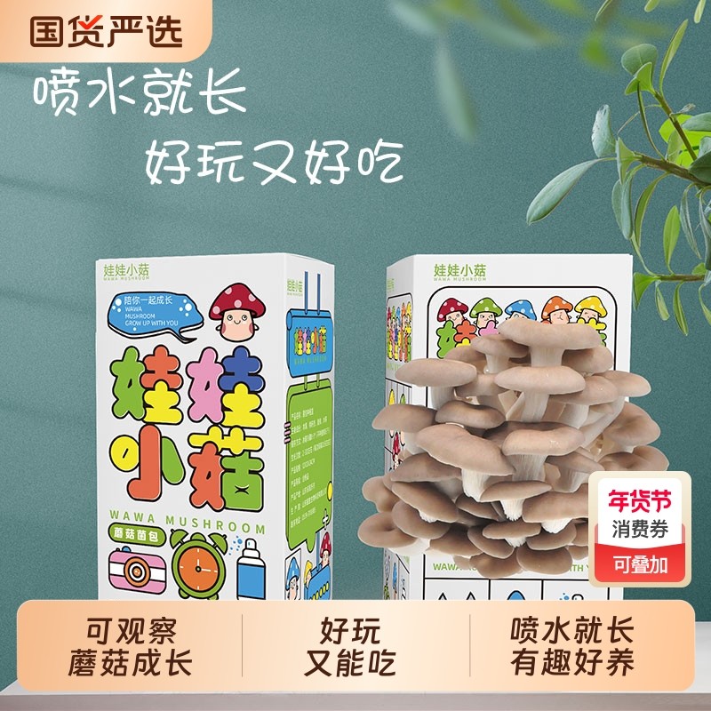 儿童灰平菇蘑菇菌包可食用菌种种植小学生益智礼物科学红平菇生长