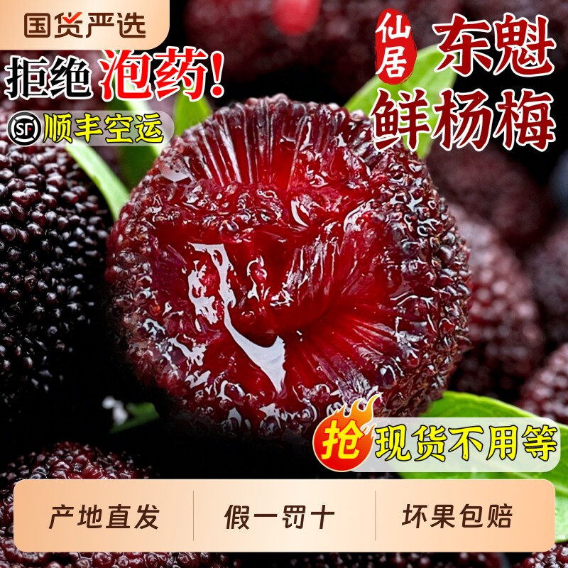 顺丰正宗仙居东魁杨梅当季新鲜现摘现发水果整箱包邮甜鲜杨梅送礼