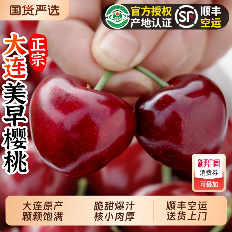 大连美早樱桃新鲜水果特大果园直发车厘子整箱5J孕妇顺丰包邮时令