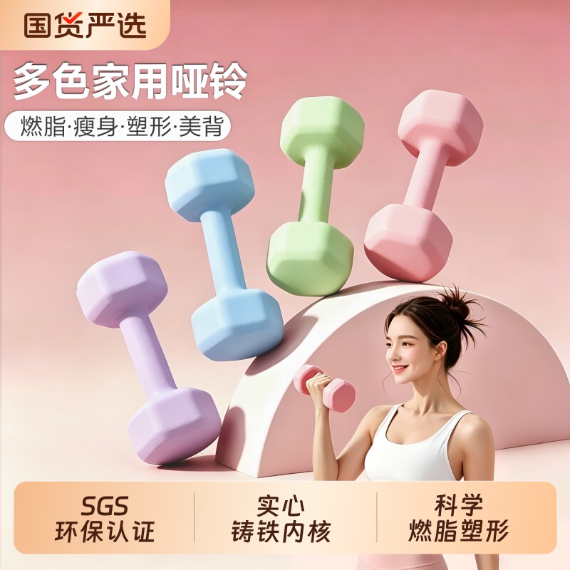 家用女士哑铃一对装实心铸铁瘦身健身器材宿舍手臂塑形磨砂小哑铃