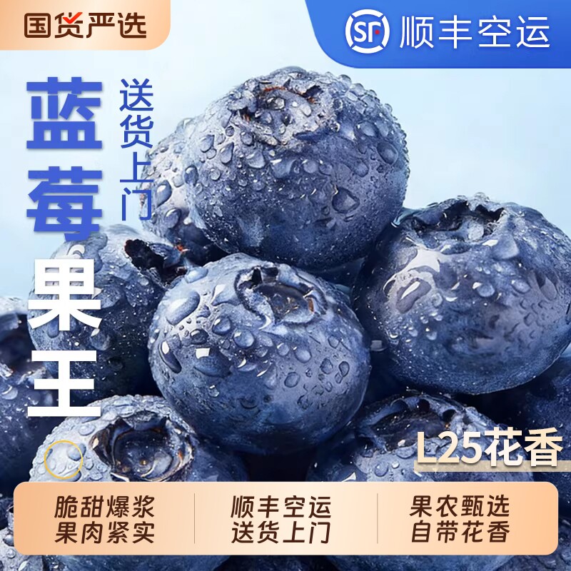 蓝莓新鲜水果云南当季蓝梅鲜果现摘L25花香高山孕妇整箱顺丰包邮