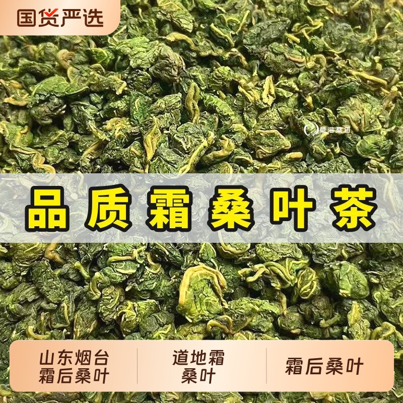 正品无硫桑叶干货霜打老树桑叶人工采摘晾晒泡茶煲汤中药材批发