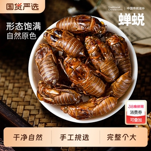 蝉脱中药材正品新货野生蝉蜕壳蝉蜕皮蝉蜕粉知了壳知了皮蝉蜕粉