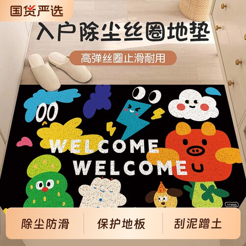 入户地垫门口丝圈脚垫高级感进门垫子大门外防滑地毯室外免洗耐脏