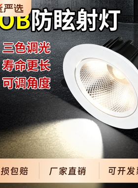 射灯LED天花灯嵌入式COB客厅家用孔灯筒灯3W7W店铺商用2寸牛眼灯