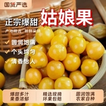 黄菇娘果新鲜灯笼果农家小园自种姑娘果香甜皮薄肉厚的姑娘果顺丰