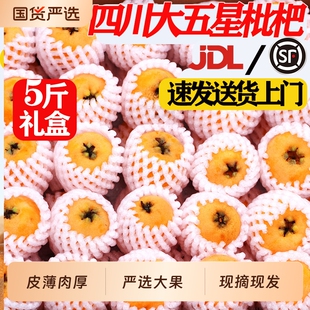 四川大五星枇杷5斤特大果现摘新鲜水果攀枝花米易汉源礼盒包邮
