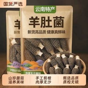新货羊肚菌干货云南特产羊肚菇高山菌菇类煲汤食材年货新鲜火锅香