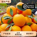 正宗赣南脐橙10斤新鲜现摘应季 果园 时令水果赣州产地果冻橙20斤装
