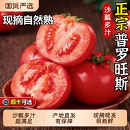 【9斤普罗旺斯钜惠装】沙瓤多汁