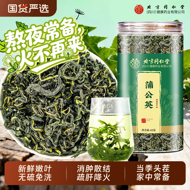 北京同仁堂蒲公英茶新货散结