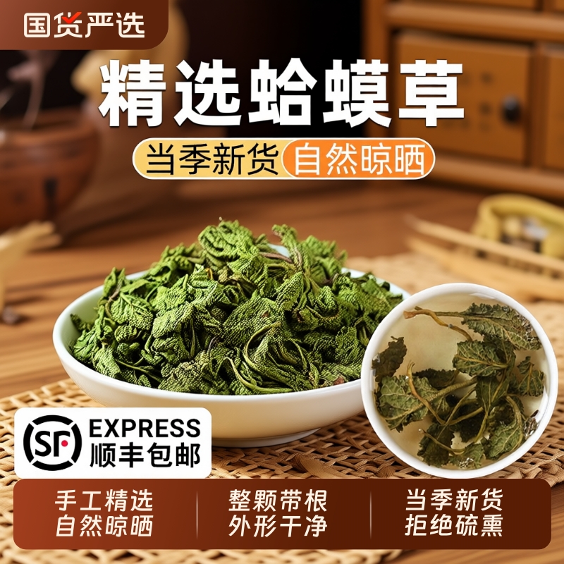 蛤蟆草癞蛤蟆草中草药材新鲜整颗干正品泡水泡茶荔枝草雪见草菜