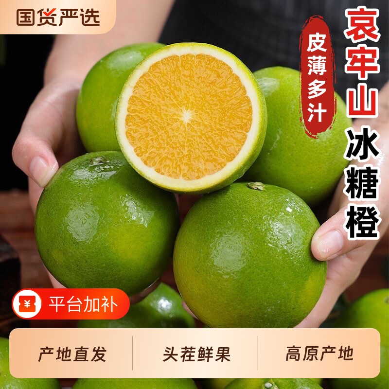 云南冰糖橙新鲜哀牢山橙子水果当季鲜果橙子青皮手剥橙子孕妇水果