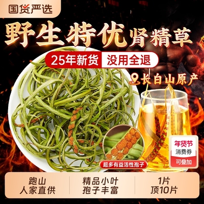 长白山野生肾精草肾精茶