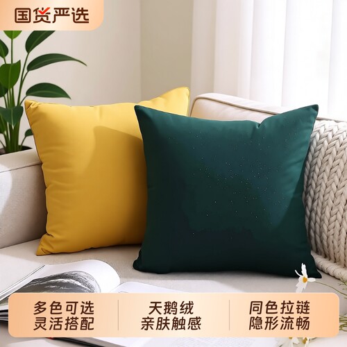 天鹅绒沙发抱枕靠背靠垫床头布艺客厅毛绒不含芯腰枕方形软装南瓜