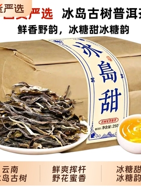 冰岛普洱茶生茶新茶叶古树散茶云南临沧早春口粮茶叶自己喝