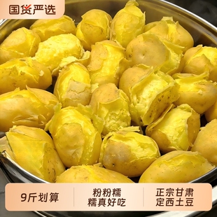 正宗甘肃定西土豆沙面黄皮黄心马铃薯新鲜现挖旱沙地洋芋9斤自种
