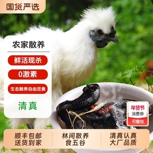 清真乌鸡新鲜农家散养正宗乌骨鸡煲汤整只鲜活现杀公鸡母鸡土鸡