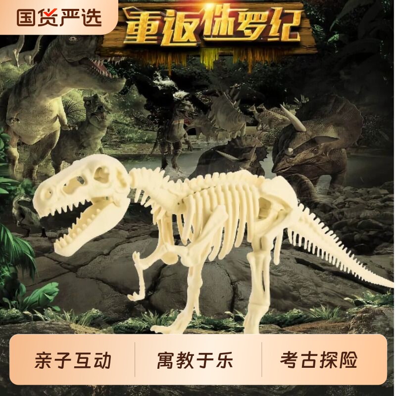 霸王龙骨架组装标本DIY手工拼装图片