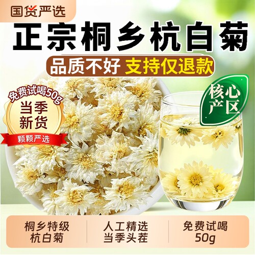 杭白菊特级正品菊花茶杭州桐乡