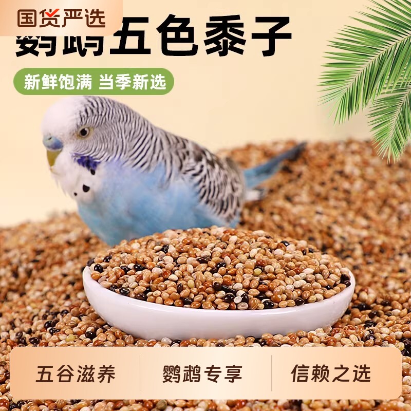 鹦鹉鸟粮饲料鸟食五色黍子带壳小米黄谷子玄凤虎皮牡丹珍珠鸟粮食