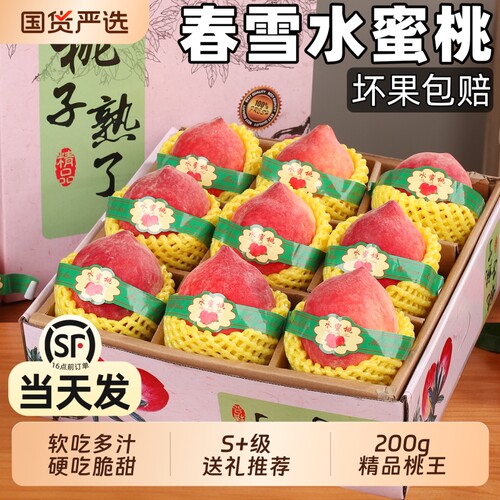 顺丰正宗春雪水蜜桃5斤桃子新鲜水果当季脆甜毛桃整箱包邮礼盒