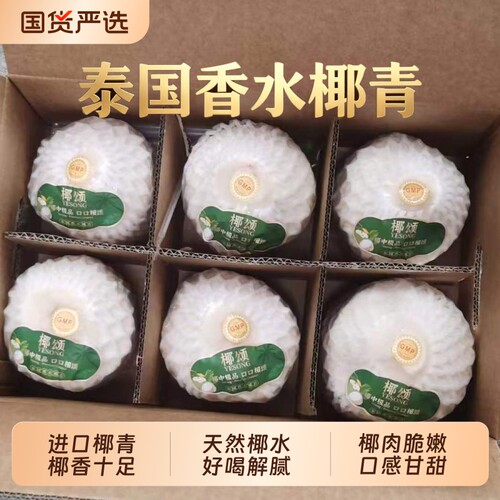 【6个大果】泰国香水椰青当即新鲜现摘现发香水椰椰汁附带开椰器