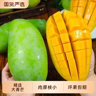 大青芒青皮金煌芒4.5斤