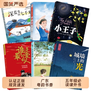 三片青姜谁是最可爱 光升旗手阅读课外正版 人少儿版 七千米城墙上 书目 深蓝色 广东粤韵书香五年级小王子彩图典藏版