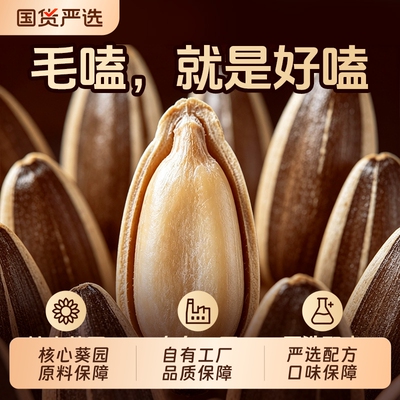 毛嗑瓜子450g*2袋多味葵花籽炒货