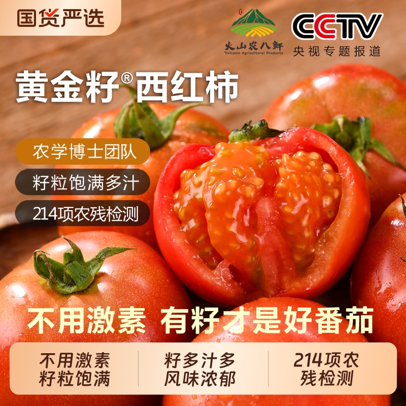 自然熟黄金籽西红柿现摘新鲜沙瓤生吃番茄水果农家顺丰4.8-5斤