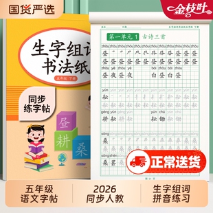 2026新版五年级练字帖上册下册人教版语文同步字帖小学生专用每日一练儿童笔画笔顺生字临摹练习钢笔硬笔书法练字本部编版作文楷书