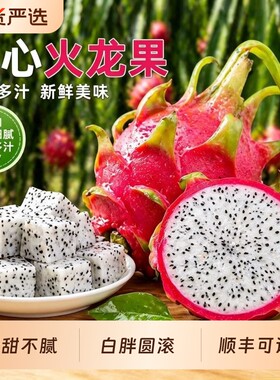 白心火龙果越南进口水果新鲜当季热带整箱发货顺丰可选现摘